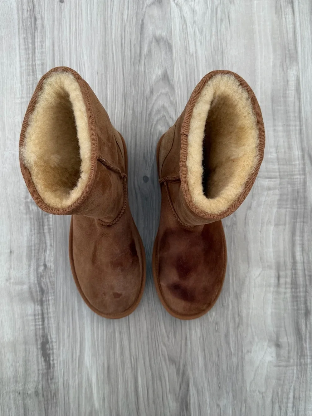 UGG Women's Classic Short II Boots in the color chestnut